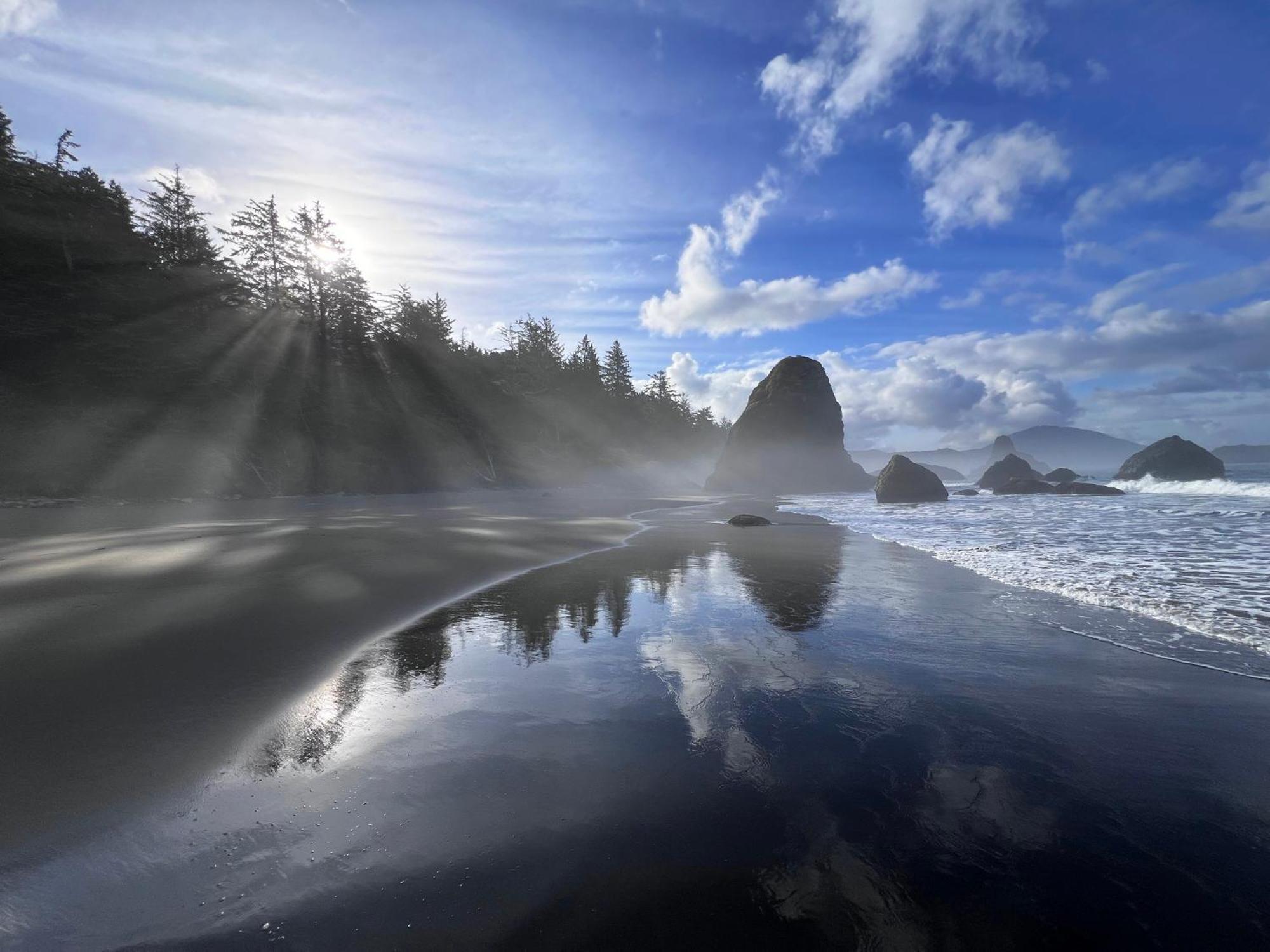 The Cove At - 5 Ocean Front Port Orford