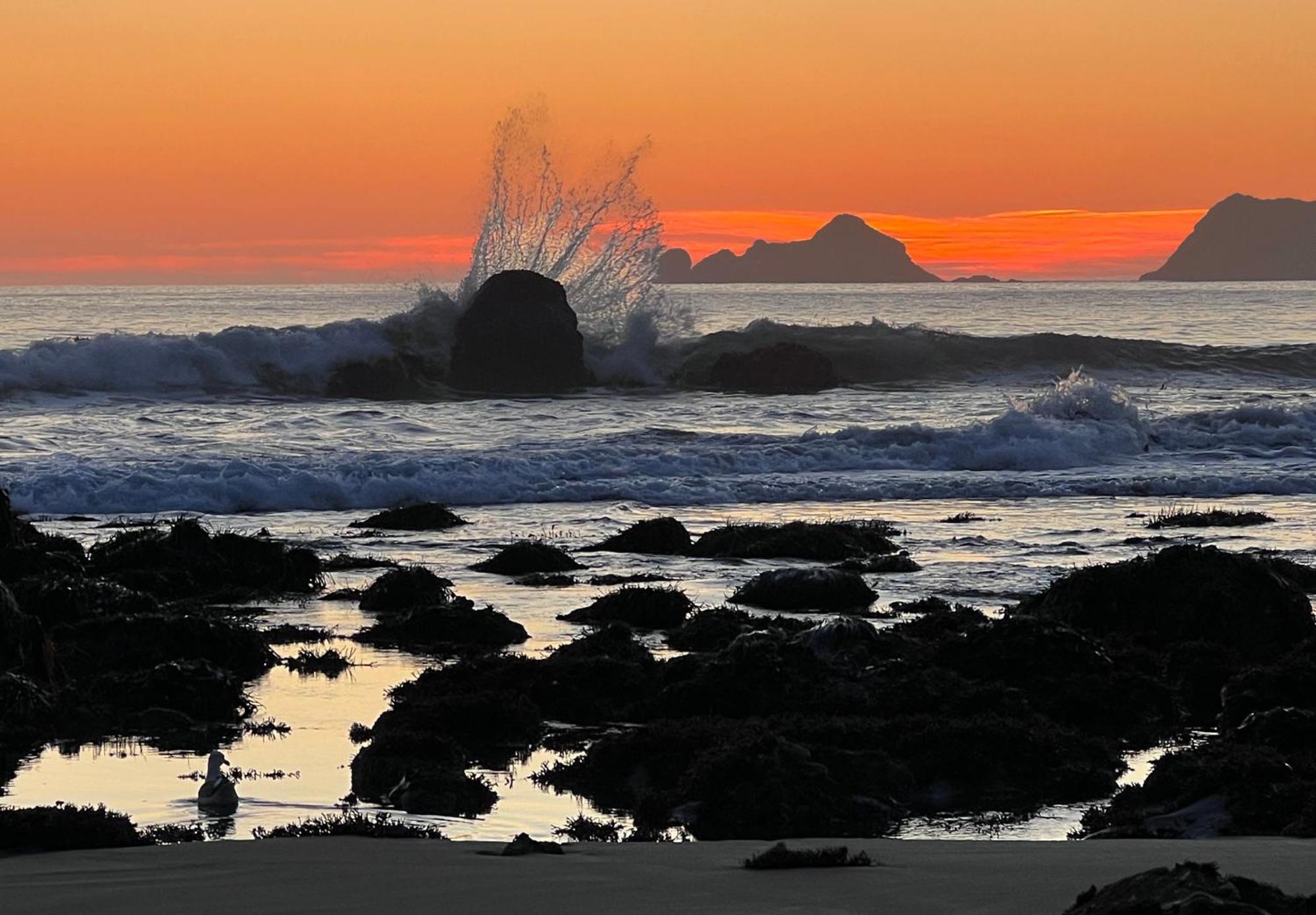 The Cove At - 5 Ocean Front Apartment Port Orford